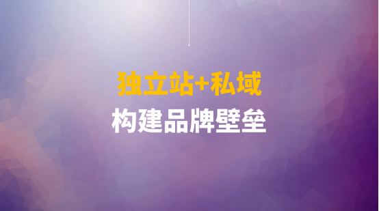 平台靠不住了，独立站，自主权！LTD营销枢纽助力企业应对全球化挑战 - 