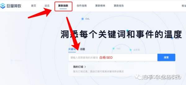 白杨SEO：做抖音关键词SEO搜索综合排名，抖音指数里综合指数与搜索指数以哪个为准？ - 