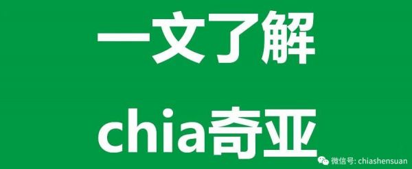 池阿神算chia.ren深度解读：chia（奇亚）到底是不是骗局？