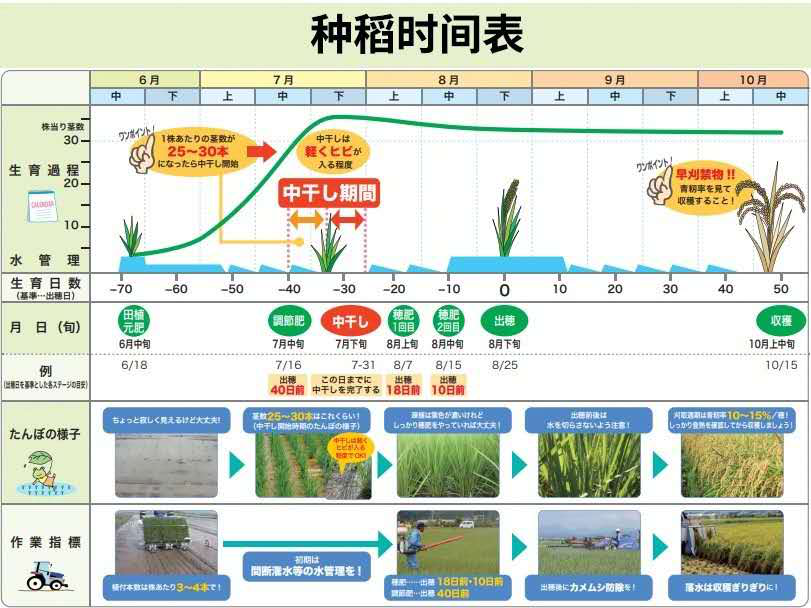 日本出了一款种田游戏 硬核到“农林水产省”成攻略网站