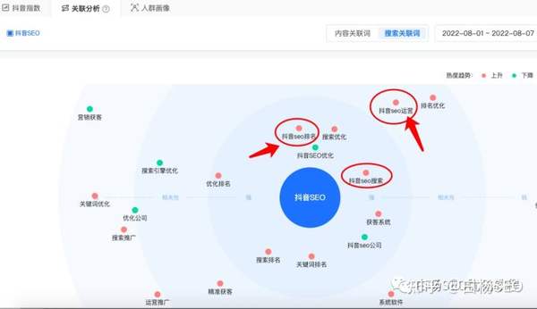 白杨SEO：做抖音关键词SEO搜索综合排名，抖音指数里综合指数与搜索指数以哪个为准？ - 