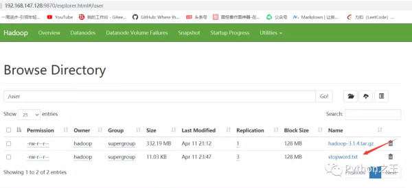 HDFS中的Java和Python API接口连接