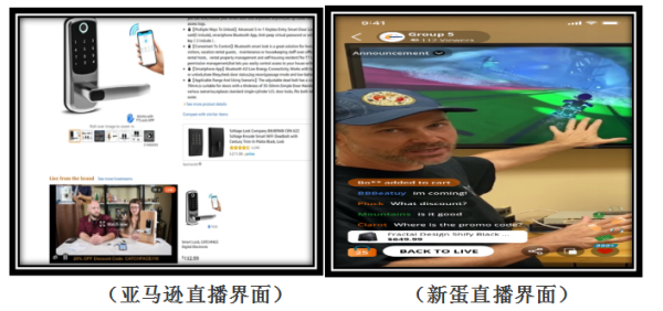 亚马逊Amazon Live和新蛋Newegg Discovery双双进军跨境电商直播