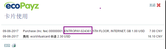 ecoPayz Card 虚拟卡申请及使用攻略-我