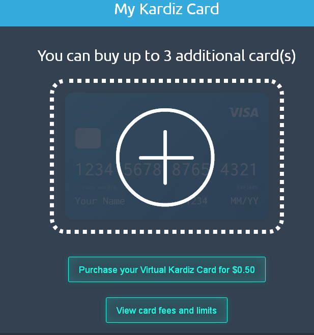 kardiz 虚拟卡申请及使用教程-我