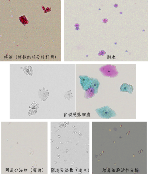 CACLP 2024丨VPS无透镜显微成像芯片在医疗成像领域迎来新进展 - 