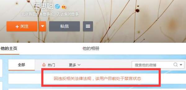 王思聪微博被禁言 曾怒怼以岭药业 - 