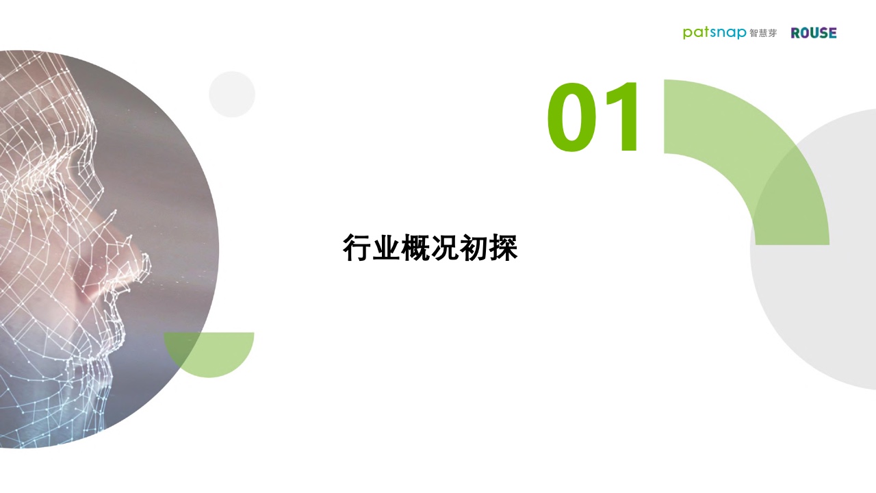 智慧芽&罗思咨询：2021年人脸识别行业报告（附下载）