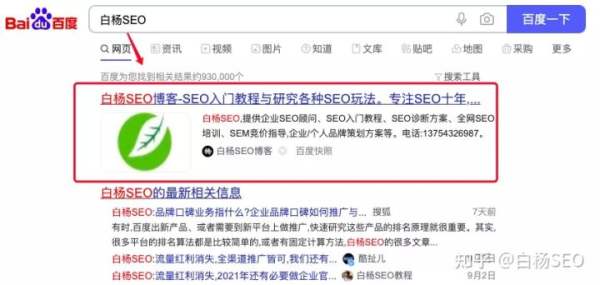 白杨SEO：所有通过图文获取流量的方法都可以用短视频再来一遍！【实战经验】 - 