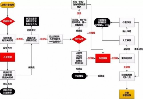 怎样才能被抖音推荐？鱼爪新媒5个小技巧教你上热门 - 