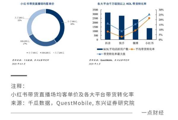 小红书的痛点与价值 - 