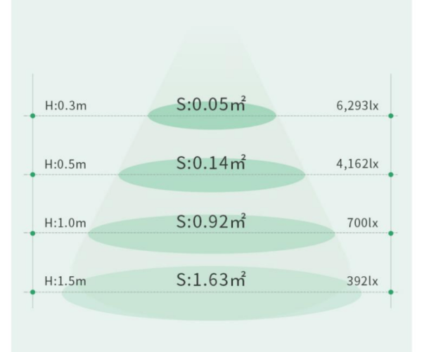 都是植物补光，为什么你的没效果？