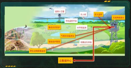 让科技守护自然：四位一体，让改变看得见