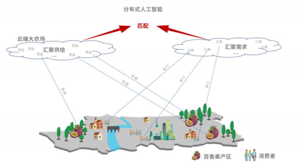 扎根乡土，农村电商成为新一代的“务农人” - 