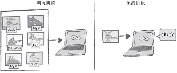 终于有人把监督学习讲明白了