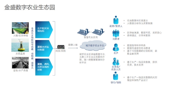 技术驱动革新，域乎为数字农业注入强心剂