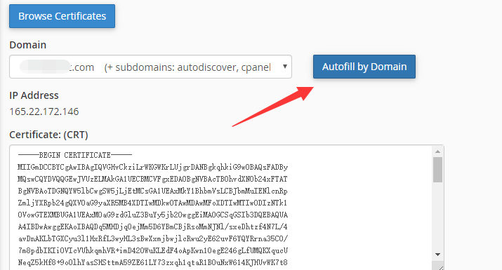 ChemiCloud教程，WordPress建站最佳外贸主机