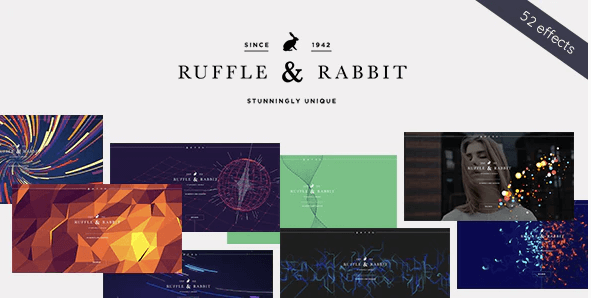 分享3款Themeforest高级正版WordPress主题：Rabbit/Essential/Sigma