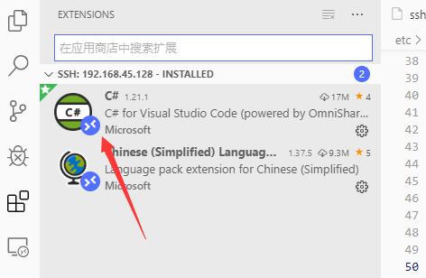 玩转VSCode插件之Remote-SSH的使用情况