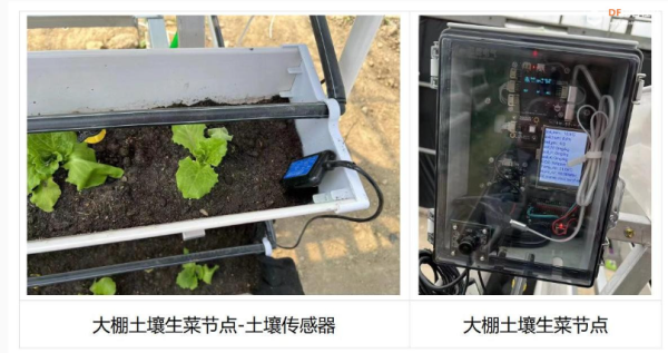 行空板驱动的物联网农业监测系统 监测农作物生长环境的利器